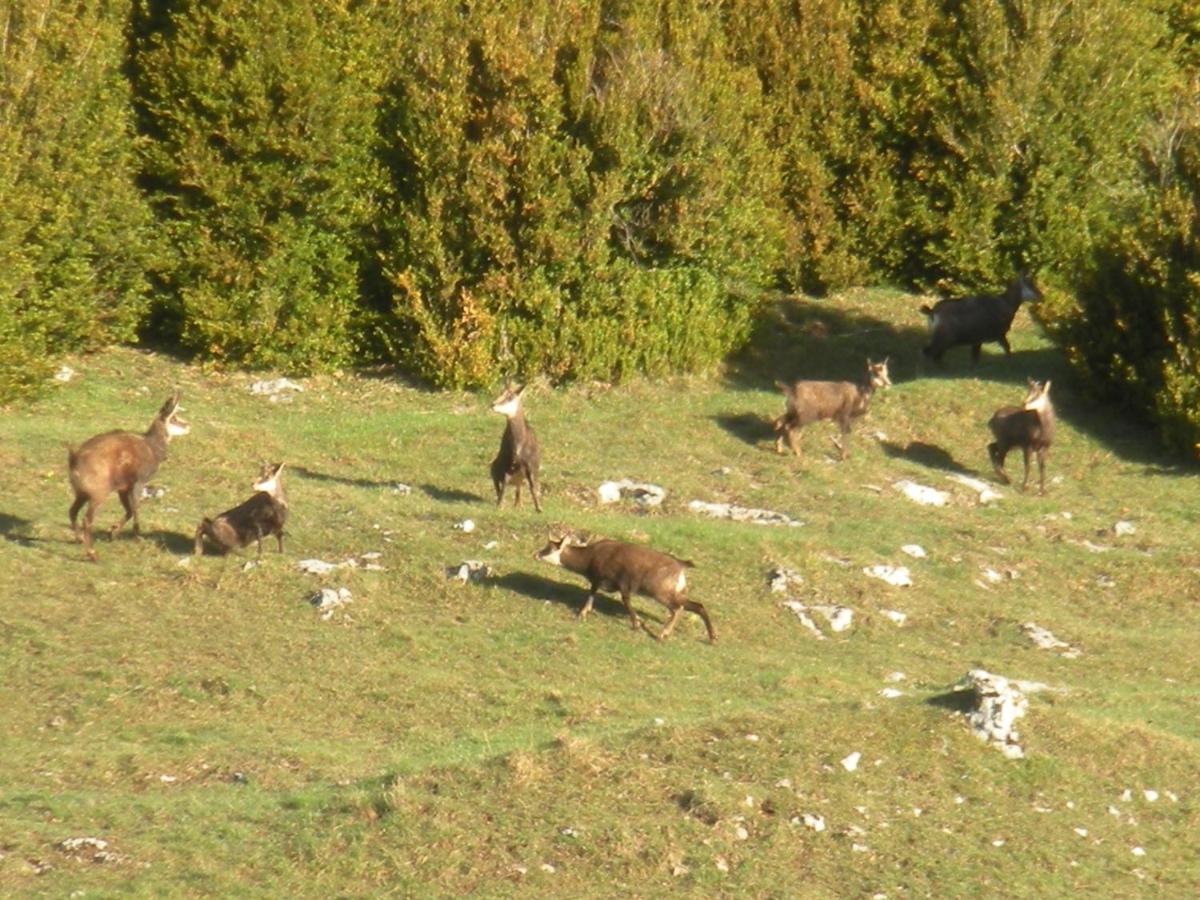 Hotel Du Col De La Machine 3*